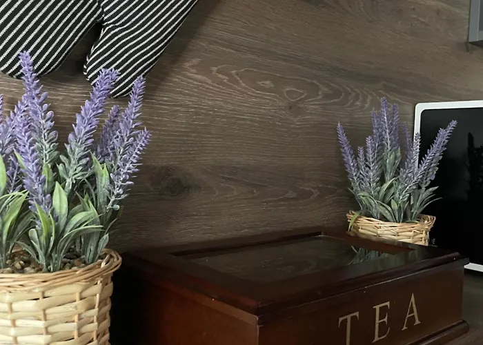 Stilingi Apartamentai Self Check-in & Free Parking * 克莱佩达