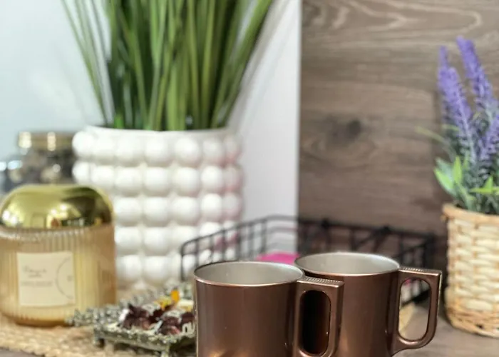 Stilingi Apartamentai Self Check-in & Free Parking * 克莱佩达